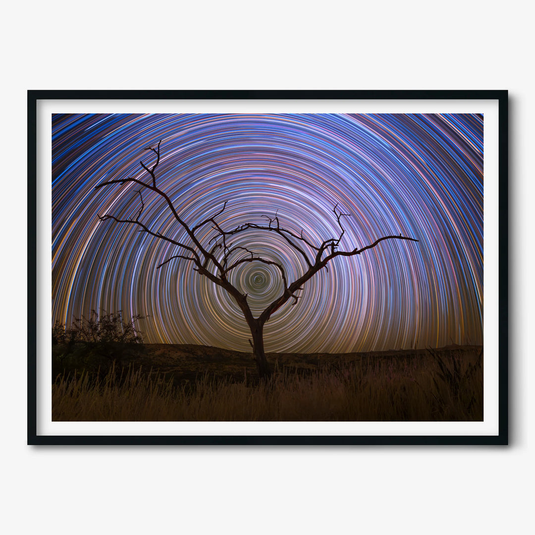 Marzena Rogozińska: Startrails above the Namibian Savanna