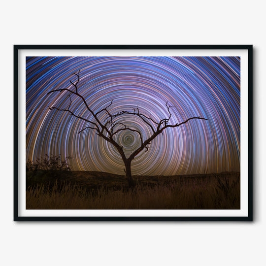 Marzena Rogozińska: Startrails above the Namibian Savanna