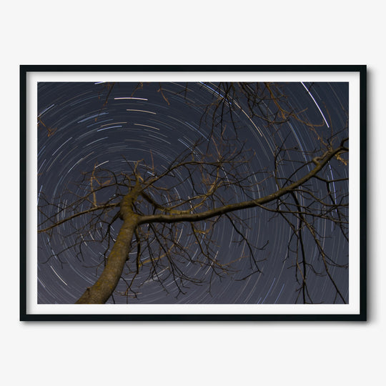 Lionel Majzik: Circumpolar Poster