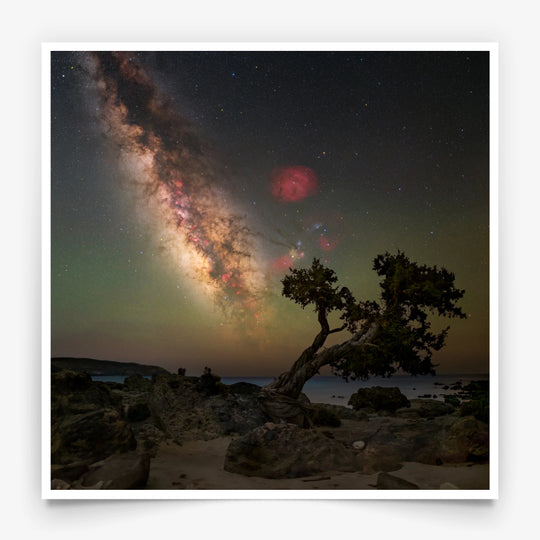 Marzena Rogozińska: Galactic Sky over the Tree