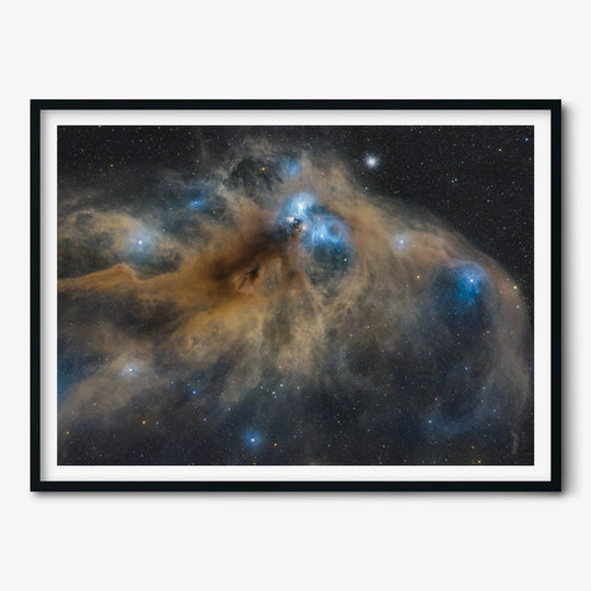 Marzena Rogozińska: The Anteater Nebula (NGC 6726)