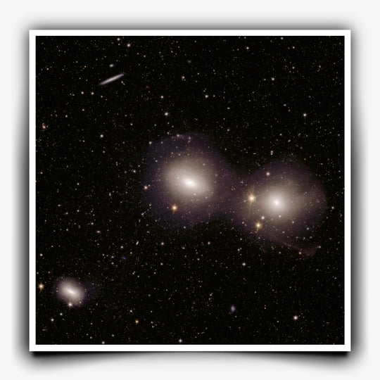 Euclid Telescope: Dorado Group of Galaxies