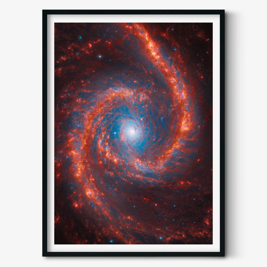 Jesion: Spiral Galaxy NGC 1566 Poster (Hubble & Webb Views)