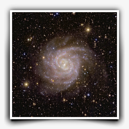 Euclid Telescope Poster: Spiral Galaxy IC 342