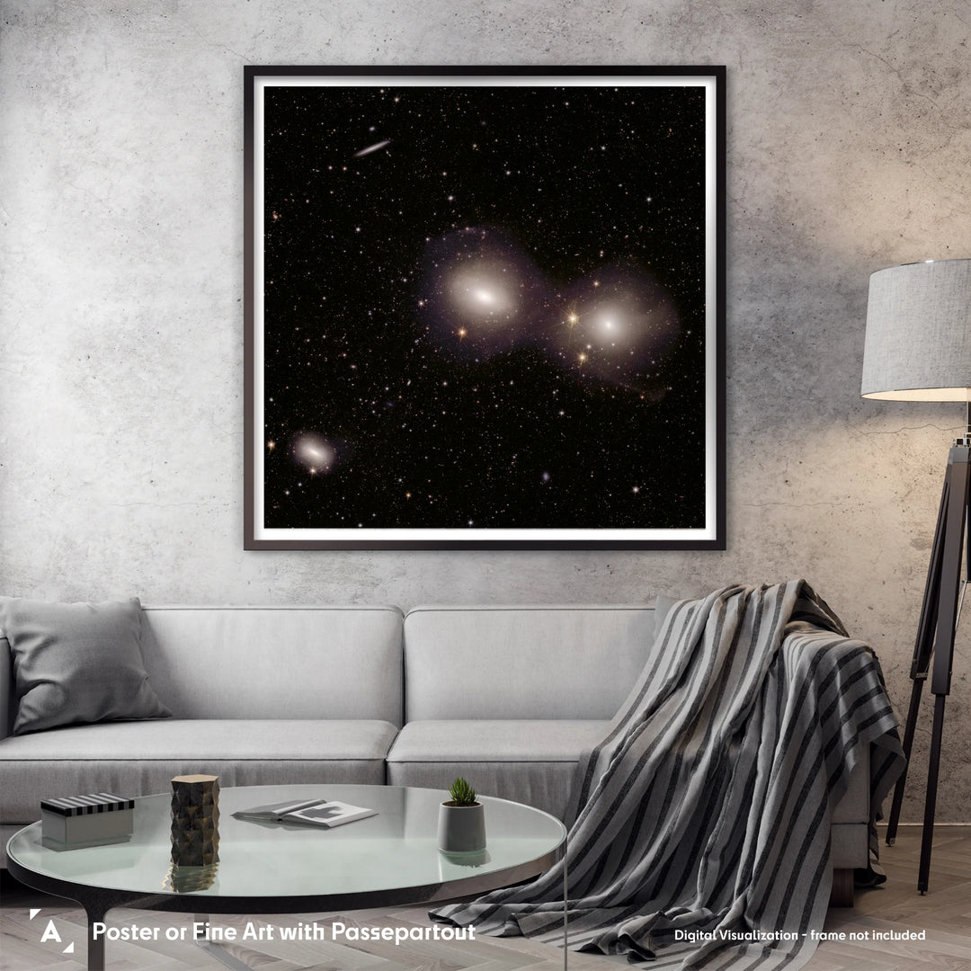 Euclid Telescope: Dorado Group of Galaxies