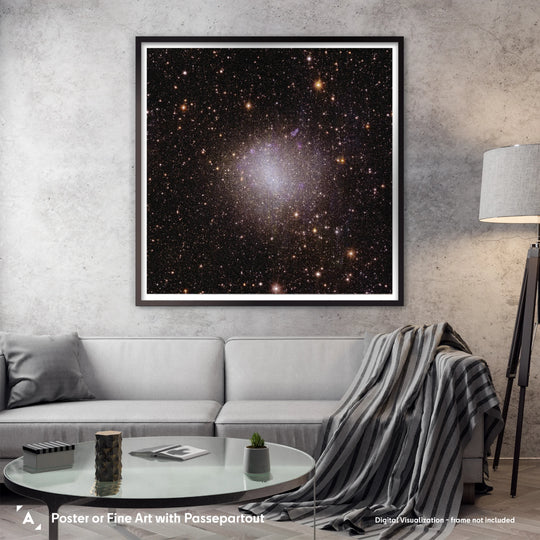 Euclid Telescope Poster: Irregular Galaxy 6822