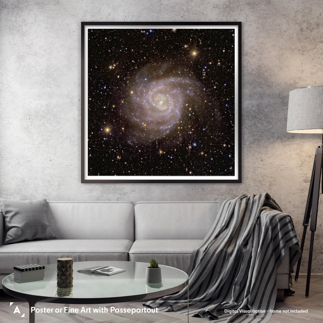 Euclid Telescope Poster: Spiral Galaxy IC 342