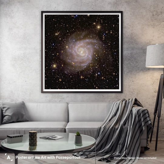 Euclid Telescope Poster: Spiral Galaxy IC 342