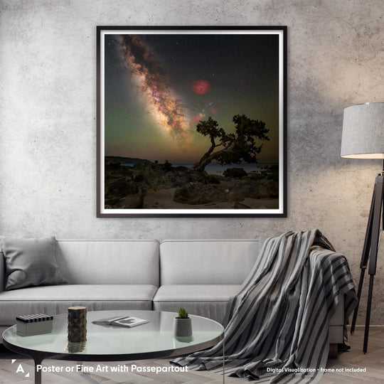 Marzena Rogozińska: Galactic Sky over the Tree