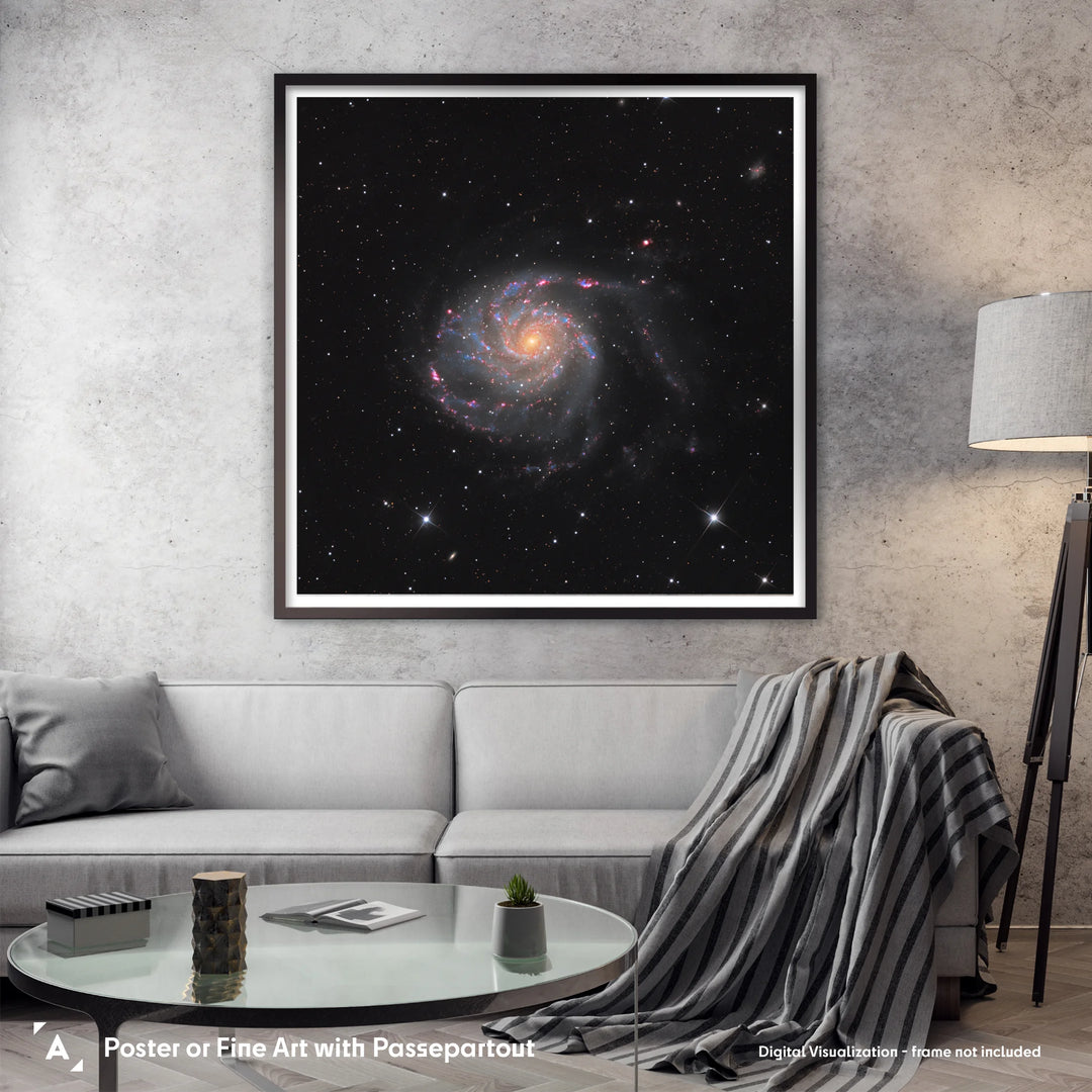 Paweł Radomski: Cartwheel of Distant Suns