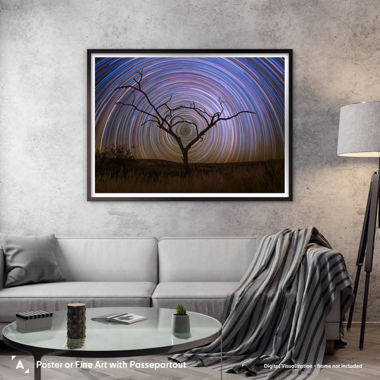 Marzena Rogozińska: Startrails above the Namibian Savanna