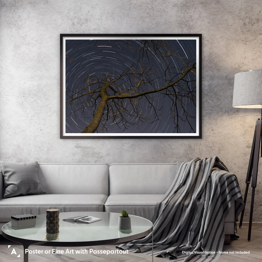 Lionel Majzik: Circumpolar Poster