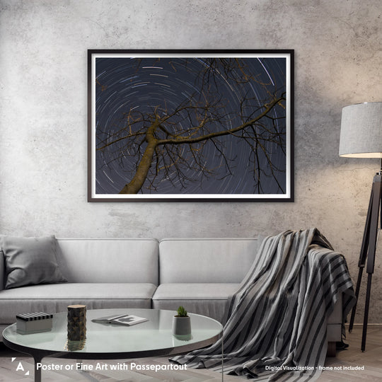 Lionel Majzik: Circumpolar Poster