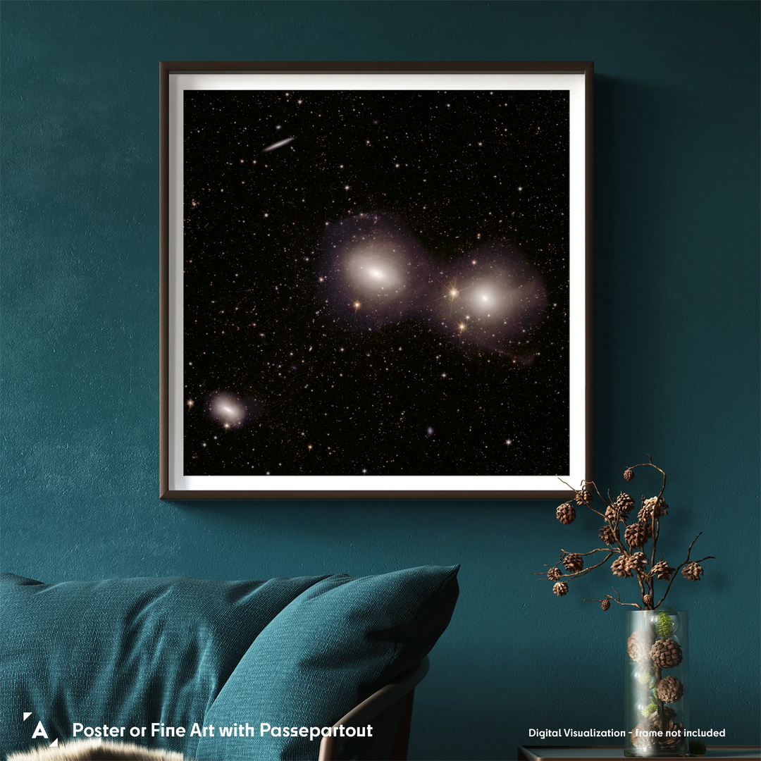 Euclid Telescope: Dorado Group of Galaxies