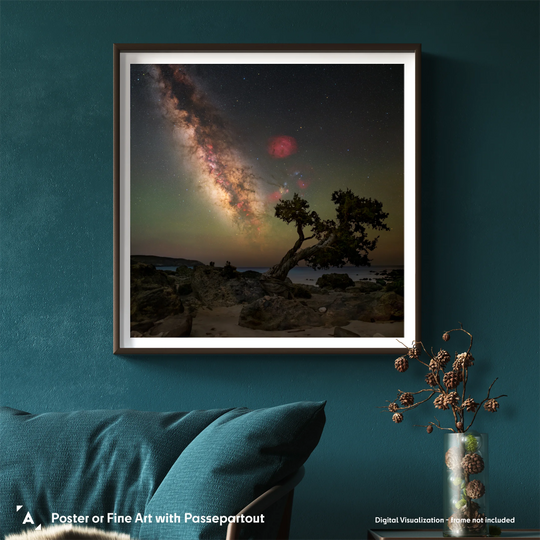 Marzena Rogozińska: Galactic Sky over the Tree