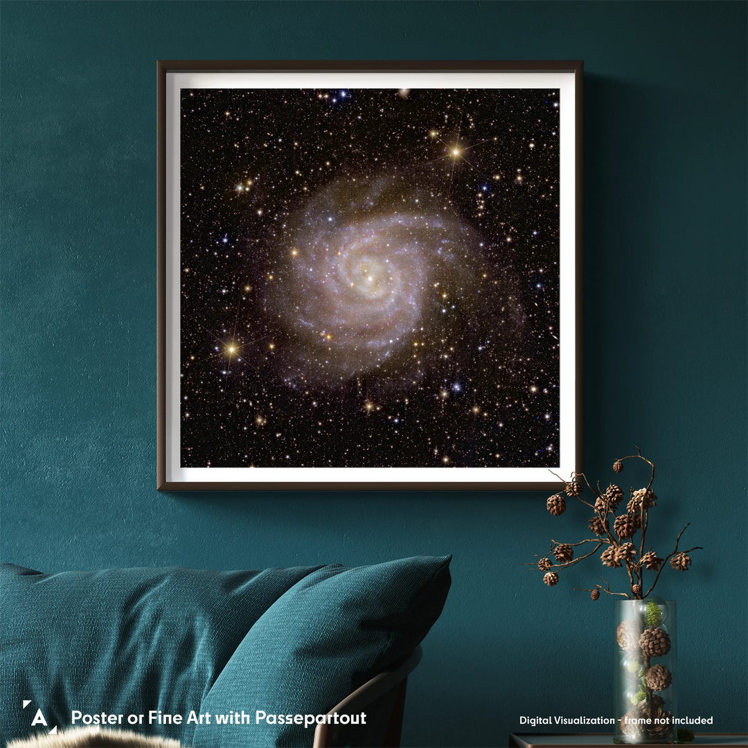 Euclid Telescope Poster: Spiral Galaxy IC 342