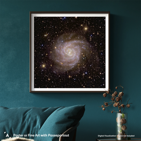 Euclid Telescope Poster: Spiral Galaxy IC 342