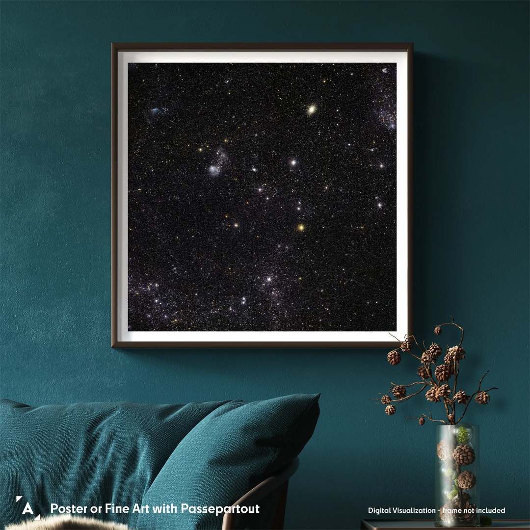 ESO Poster: Large Magellanic Cloud (Detailed Section)