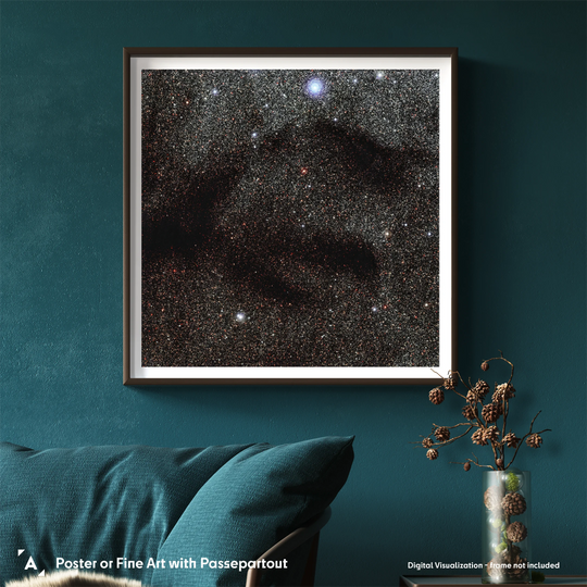 ESO Poster: All Quiet in the Nursery?