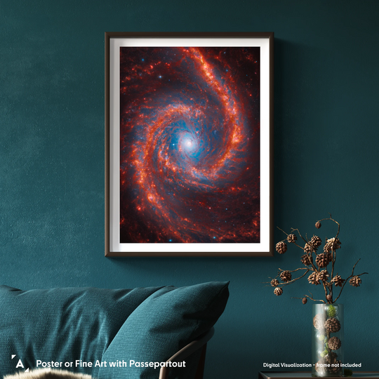Jesion: Spiral Galaxy NGC 1566 Poster (Hubble & Webb Views)