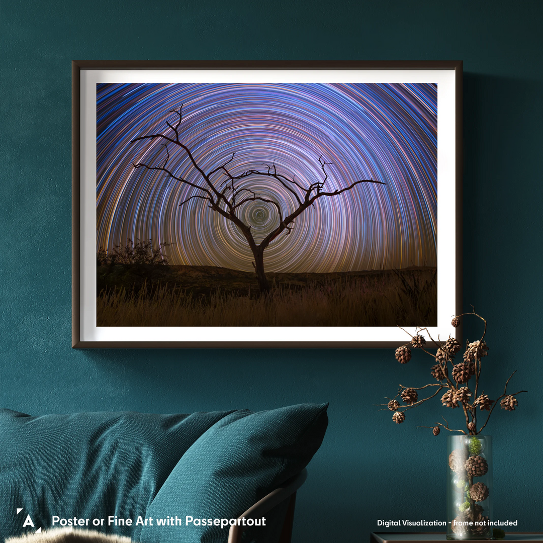 Marzena Rogozińska: Startrails above the Namibian Savanna