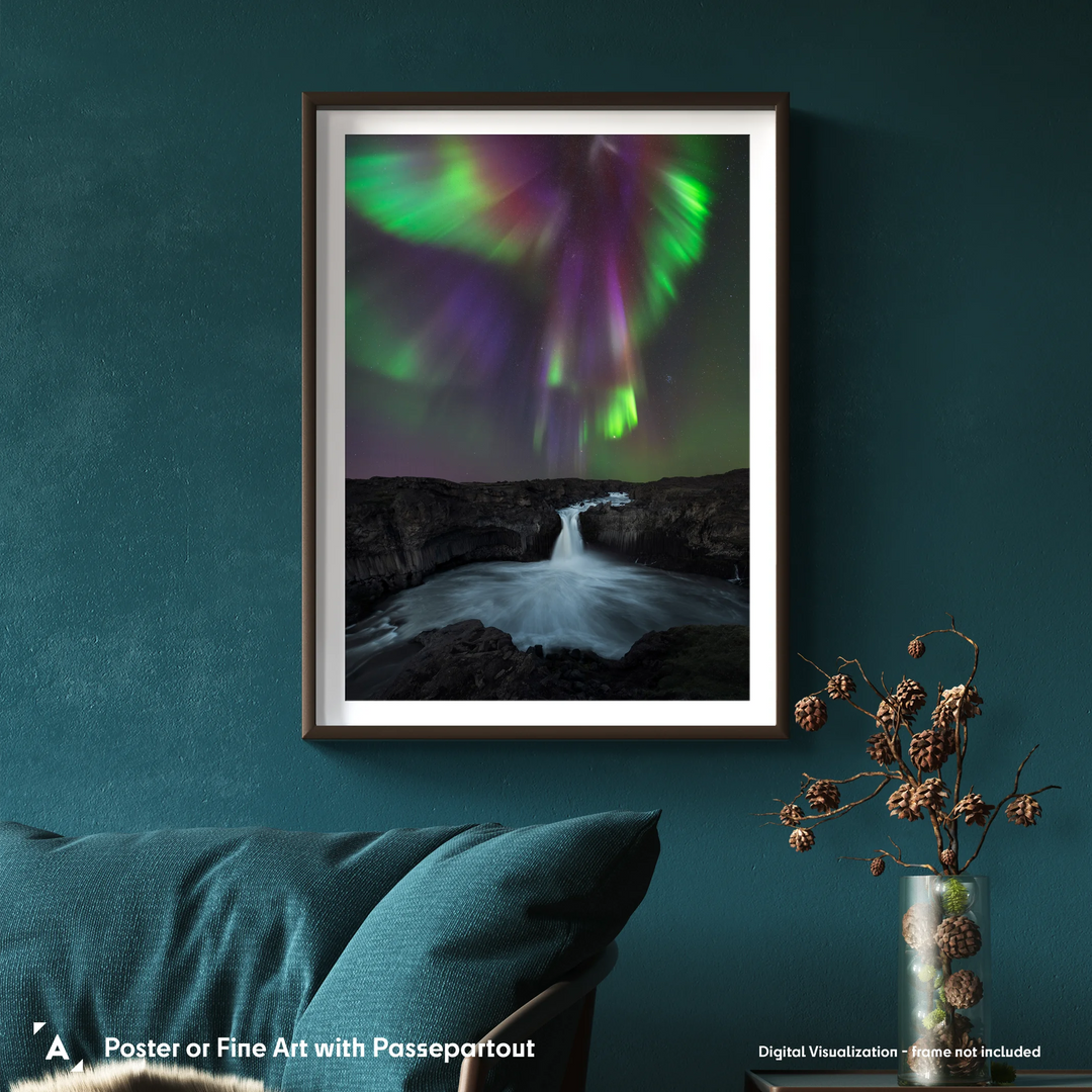 Marcin Zajac: Phoenix Poster