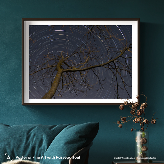 Lionel Majzik: Circumpolar Poster