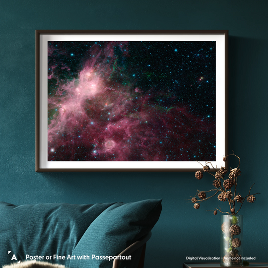 Life and Death Intermingled by Spitzer Space Telescope