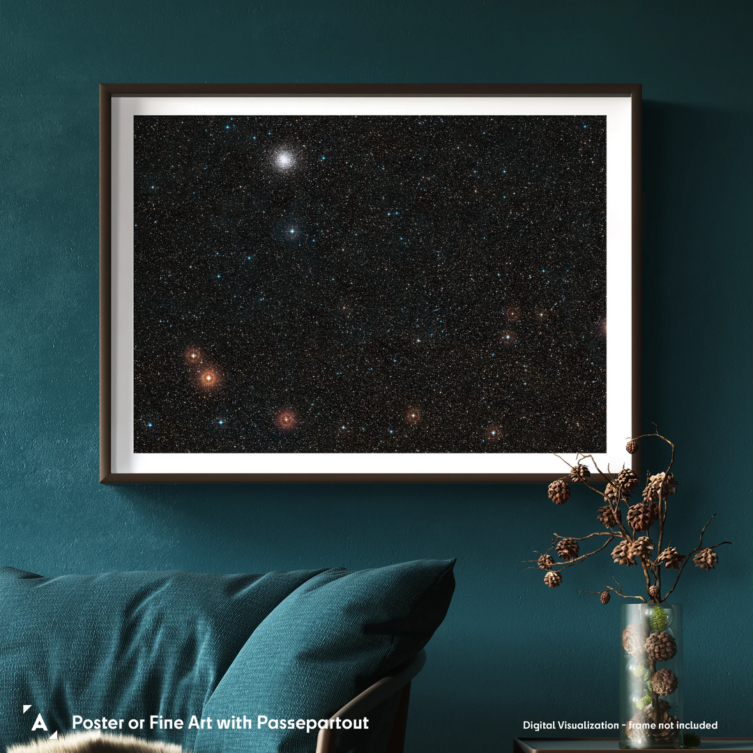 HST: Wide-Field View of GJ 1132 b’s Host Star