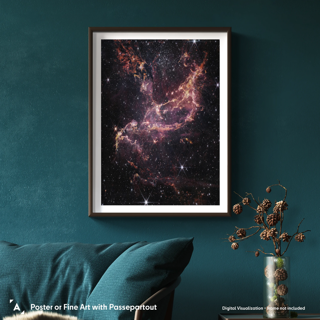 Webb Inspects NGC 346