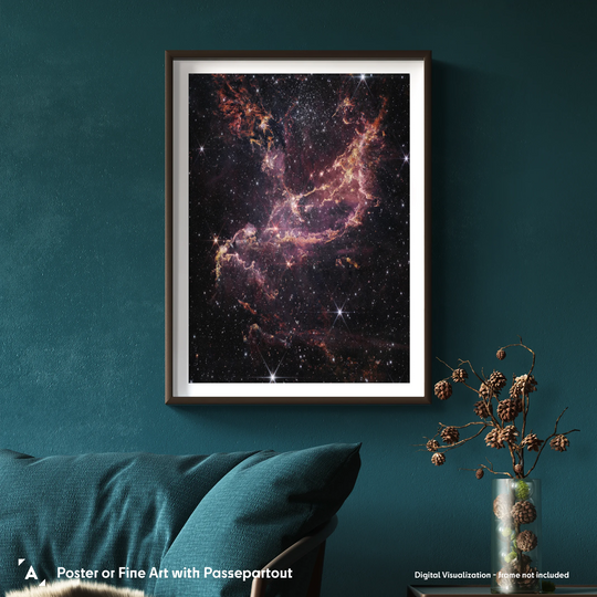 Webb Inspects NGC 346