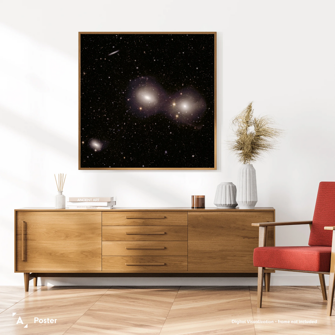 Euclid Telescope: Dorado Group of Galaxies