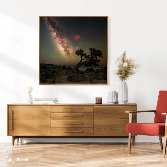 Marzena Rogozińska: Galactic Sky over the Tree