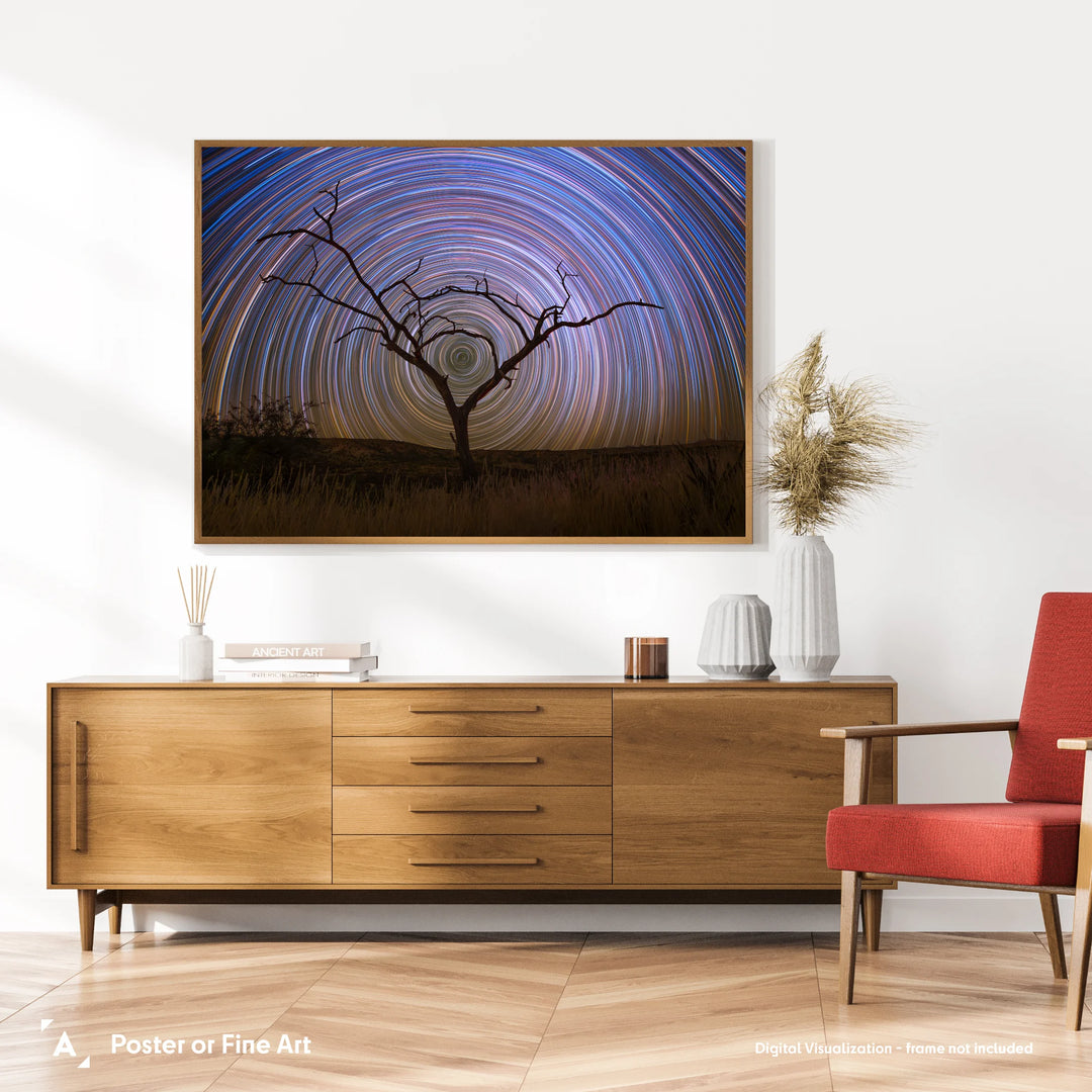 Marzena Rogozińska: Startrails above the Namibian Savanna