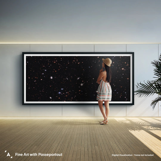 JWST: CEERS Panorama