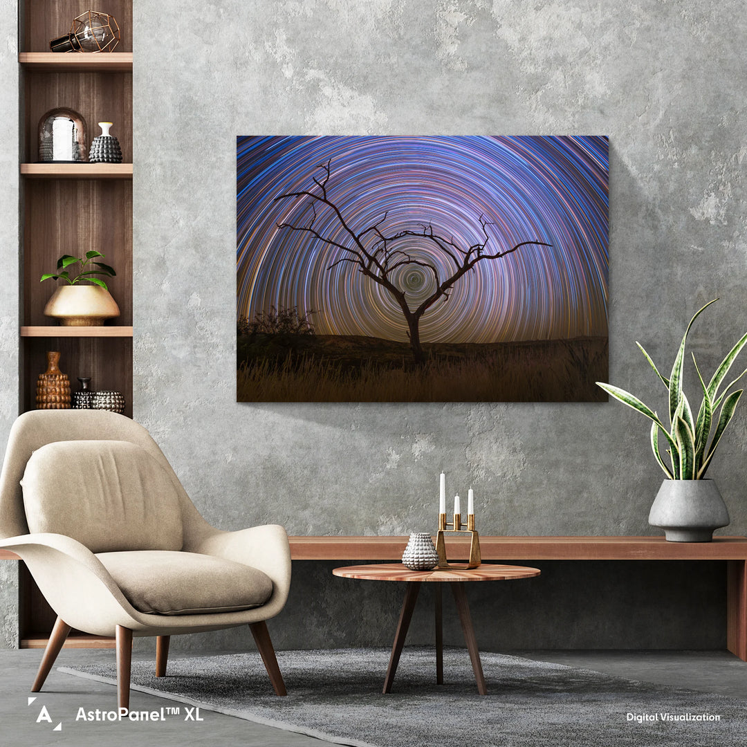 Marzena Rogozińska: Startrails above the Namibian Savanna