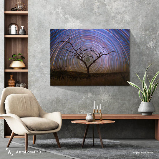 Marzena Rogozińska: Startrails above the Namibian Savanna