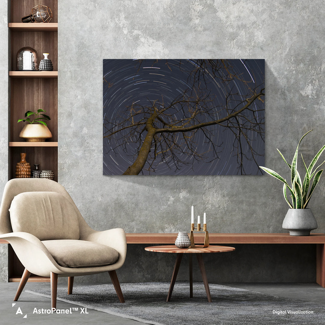 Lionel Majzik: Circumpolar Poster