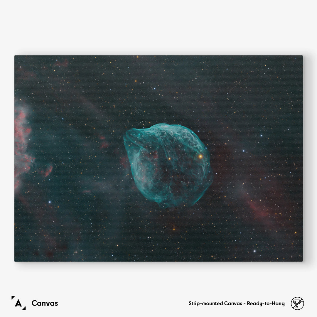 Rod Prazeres: A Celestial Sentinel in the Depths of Space - The Dolphin Head Nebula Poster