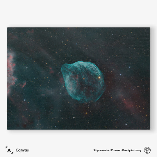 Rod Prazeres: A Celestial Sentinel in the Depths of Space - The Dolphin Head Nebula Poster