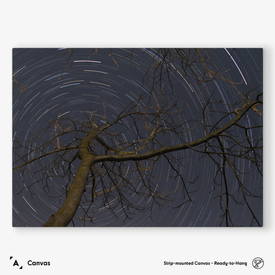 Lionel Majzik: Circumpolar Poster