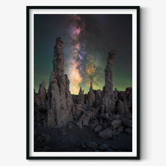 Marcin Zajac: Alien Forest Poster