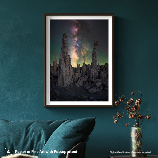 Marcin Zajac: Alien Forest Poster