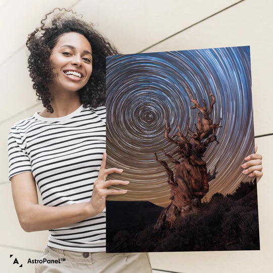 Marcin Zajac: Ancient Bristlecone Pine Forest Poster