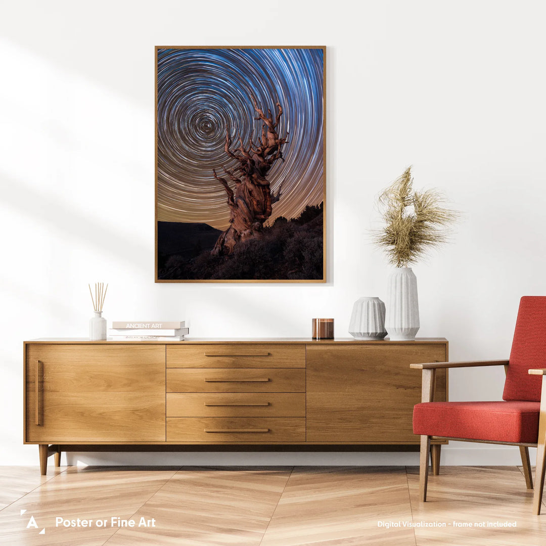 Marcin Zajac: Ancient Bristlecone Pine Forest Poster