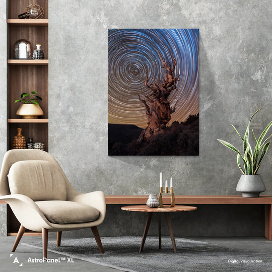 Marcin Zajac: Ancient Bristlecone Pine Forest Poster