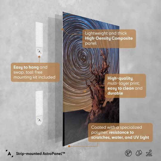 Marcin Zajac: Ancient Bristlecone Pine Forest Poster