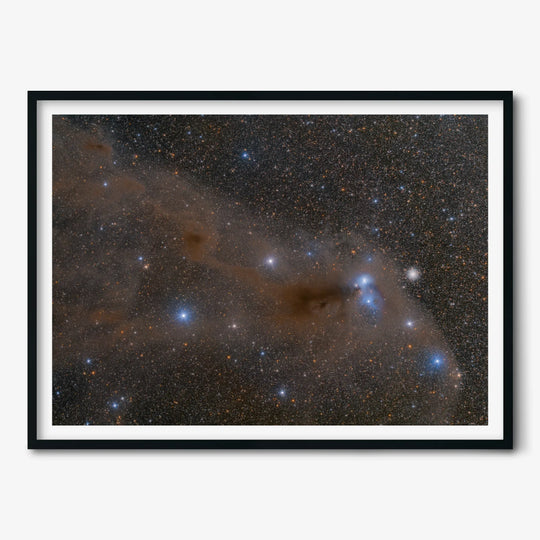 Bartosz Wojczynski: Anteater Nebula Poster