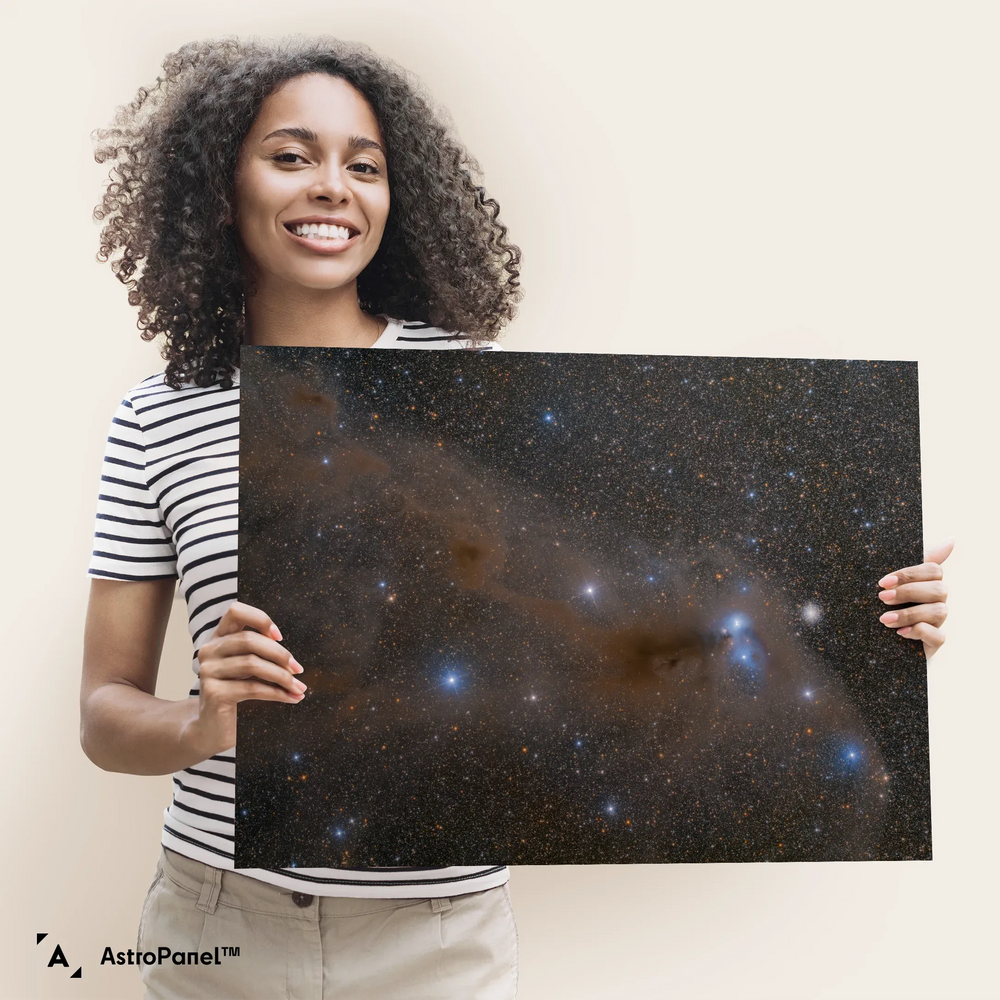 Bartosz Wojczynski: Anteater Nebula Poster