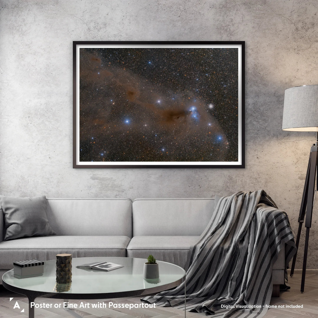 Bartosz Wojczynski: Anteater Nebula Poster